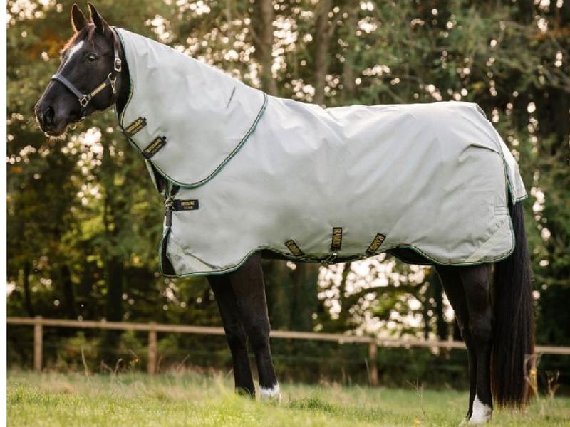 Horse Country Carrot - Horse Country Carrot -